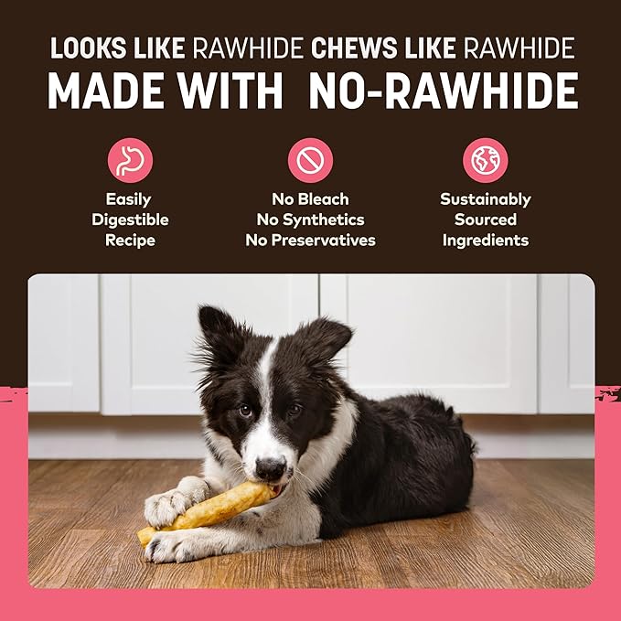 Earth Animal No Hide Medium Salmon Flavored Natural Rawhide Free Dog Chews Long Lasting Chew Sticks | Treats for Large Dogs | Great for Aggressive Chewers - 6 Count
