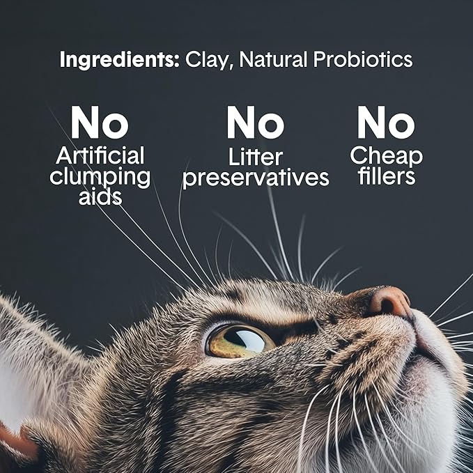 Boxie Probiotic Cat Litter, 30 Day Odor Control, Clumping Clay Kitty Litter, Odor Eliminating Probiotics, Dust-Free, No Fragrances No Fillers, 16 lb