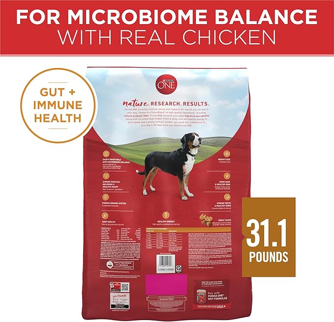 Purina ONE Chicken and Rice Formula Dry Dog Food - 31.1 lb. Bag