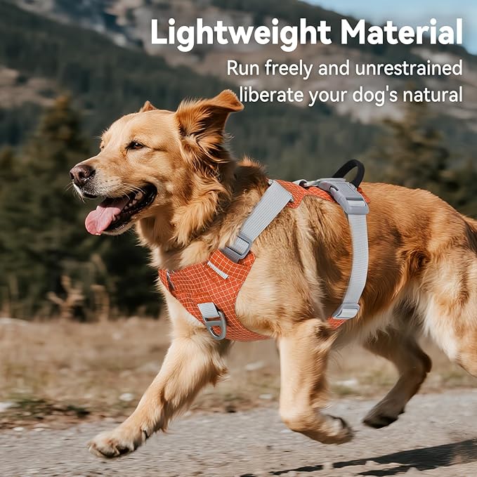 Joytale Lightweight Light Up Dog Harness, Rechargeable No-Pull LED Dog Harness with Detachable Light Box, Airtag Holder, Adjustable for Night Walking, Running & Everyday Use, Orange, XS