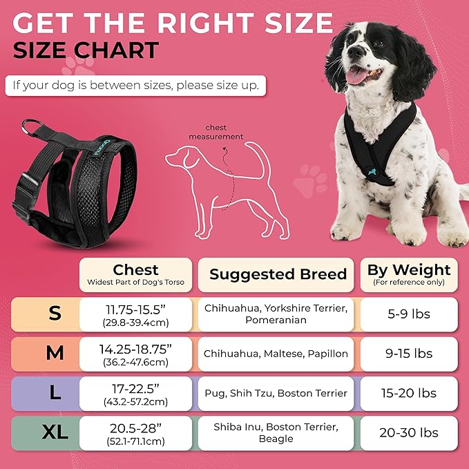 Gooby Comfort X Head In Harness - Black, Large - No Pull Small Dog Harness, Patented Choke-Free X Frame - Perfect on the Go Dog Harness for Medium Dogs No Pull or Small Dogs for Indoor and Outdoor Use