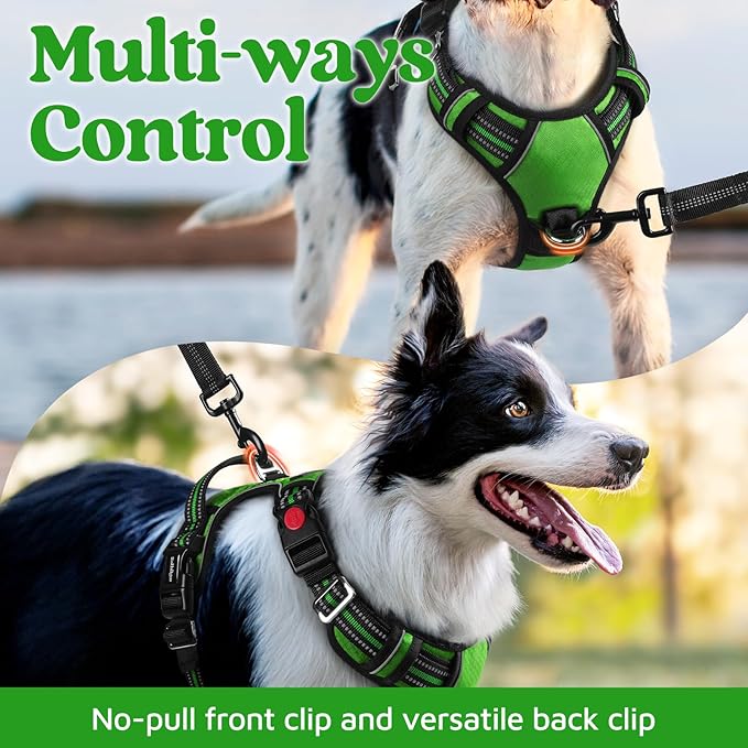 rabbitgoo Dog Harness for Large Dogs, No Pull Pet Vest with 3 Buckles, Adjustable Soft Padded Pet Harness with Easy Control Handle and Reflective Strips, Green, XL