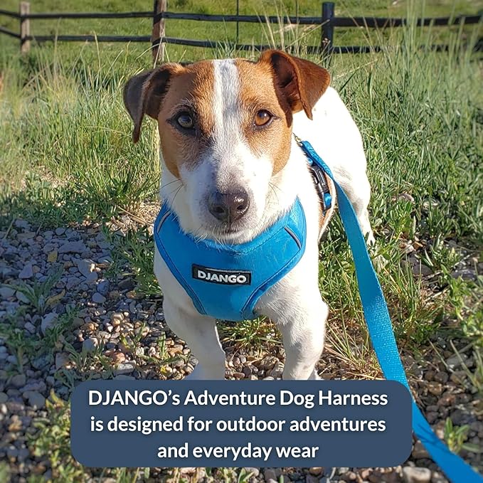 DJANGO Adventure Dog Harness - Stylish & Durable Large Dog Harness for Outdoor Adventures and Everyday Wear - Pacific Blue Neoprene Adjustable Harness for Dogs with Reflective Piping, Brass D-Ring