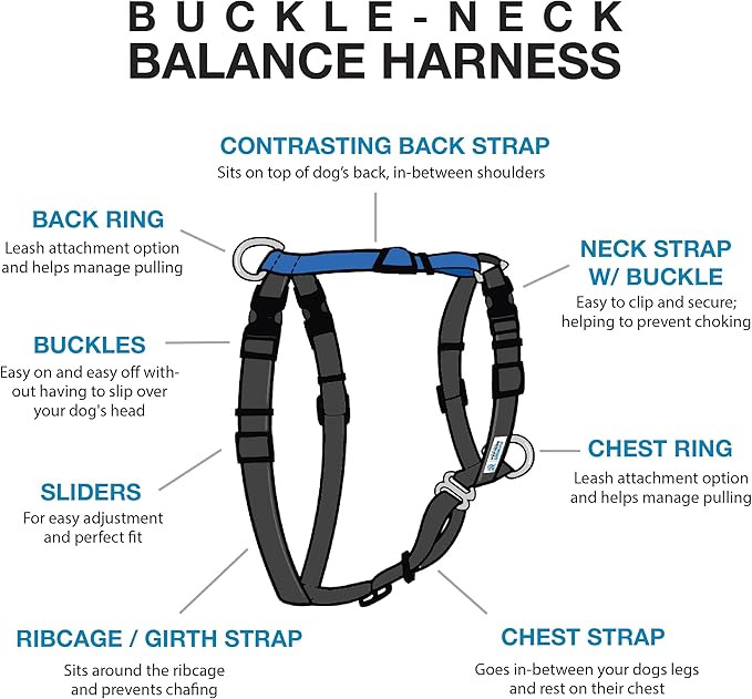 Blue-9 Buckle-Neck Balance Harness, Fully Customizable Fit No-Pull Harness, Ideal for Dog Training and Obedience, Made in The USA, Black, Small