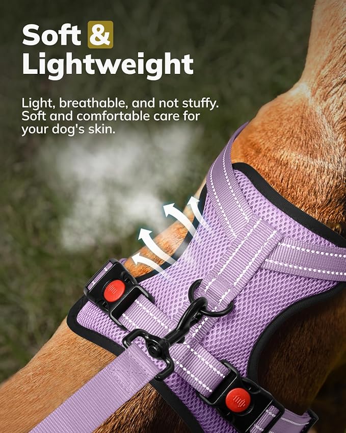 MIDOG No-Pull Dog Harness | Adjustable & Reflective Pet Harness Leash Set for Small Medium Large Dogs Walking, Training| No Choke, Front Clip, Soft Padded Vest with Easy Control Handle - Purple, S