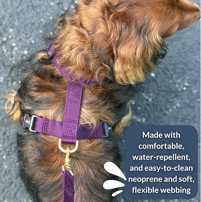 DJANGO Adventure Dog Harness - Stylish, and Durable Large Dog Harness for Outdoor Adventures and Everyday Wear - Plum Purple Neoprene Adjustable Harness for Dogs with Reflective Piping, Brass D-Ring