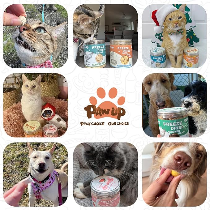 Freeze Dried Salmon Dog Treats, Single Ingredient Raw Dog Food Toppers, Healthy Training Treats for Dogs,3.8 oz