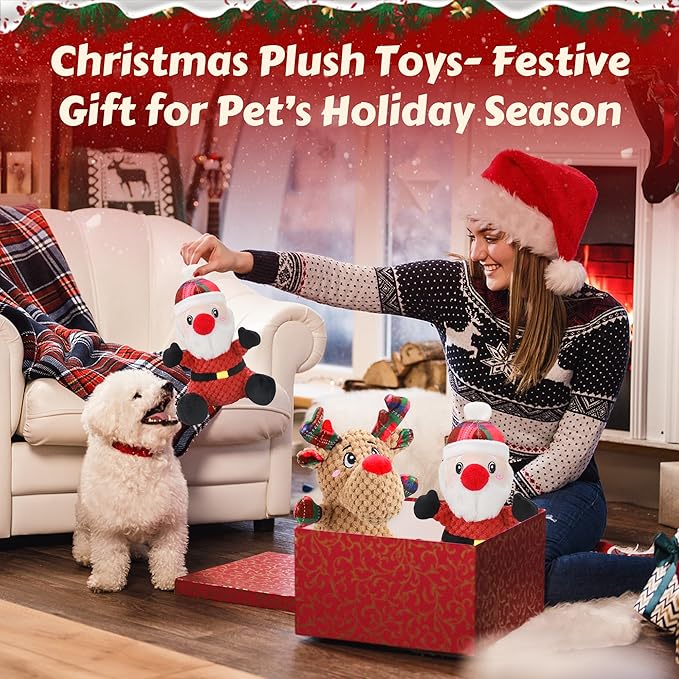 Squeaky Dog Toys, 2 Pack Dog Chew Toys with Crinkle Paper for Puppy, Small, Medium, Large Dogs, Interactive Pet Holiday Toys for Training and Reducing Boredom