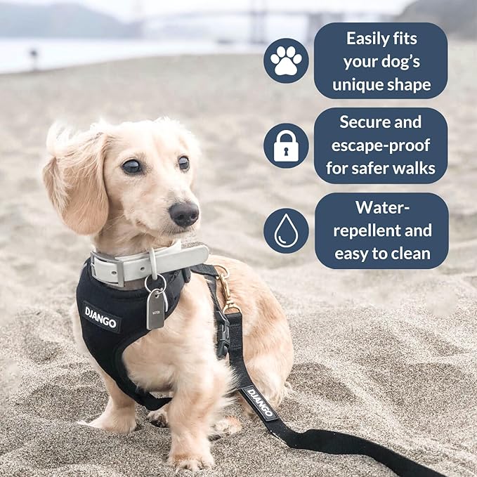 DJANGO Adventure Dog Harness - Stylish and Comfortable Medium Dog Harness for Outdoor Adventures and Everyday Wear - Black Neoprene Adjustable Harness for Dogs with Reflective Piping and Brass D-Ring