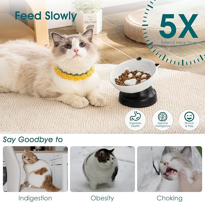 vancasso Slow Feeder Cat Bowls, Ceramic Elevated Slow Feeder Cat Bowls, Raised Food Bowl for Wet Food (Black)