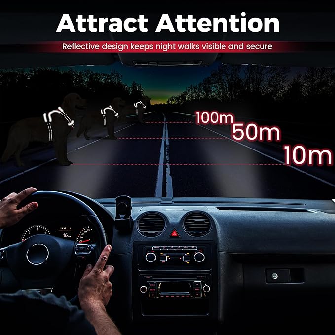 Funfox Dog Harness No Pull, Adjustable Pet Vest Harness Red S with Handle, 2 Leash Clips for Daily Walking Easy Control, Soft Durable Reflective Comfortable for Small Sized Dogs