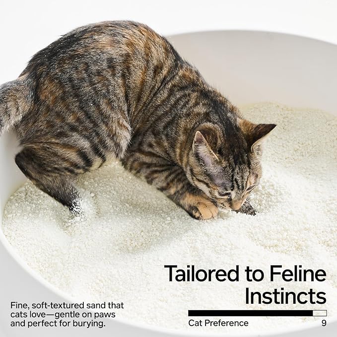 pidan Cassava Cat Litter clumping,Odor Control,Plant-Based Natural Ingredients,Ultra Absorbent and Fast Drying,No Dust,Unscented (5.3lb×2bags)