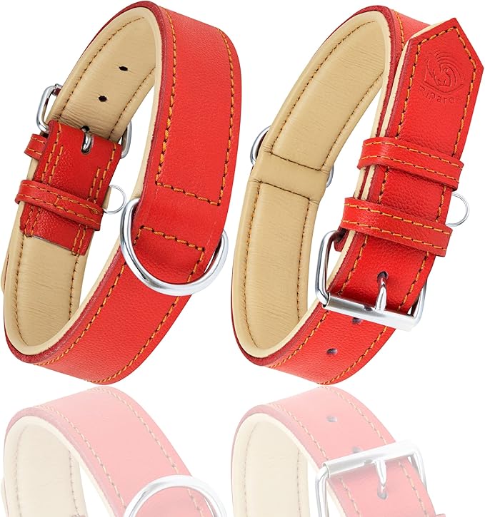 Riparo Large Dog Collar, Red Dog Collar for Large Breeds, Dog Collar Boy with Dog Tag Holder (L: 1.5" Wide for 17"-21" Neck, Red)