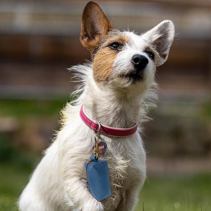 HIFA Genuine Leather Dog Leash Poop Holder - Soft Touch Rustic Leather, Metal Clips, Easy Access to Pet Waste Bags - Outdoor Walking Dispenser