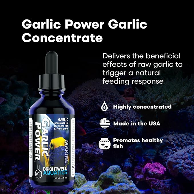 Brightwell Aquatics GarlicPower Garlic Extract for Aquarium Fish Food – Enhances Feeding Response – Boosts Nutrition – Ideal for Marine & Reef Tanks, 60 ml
