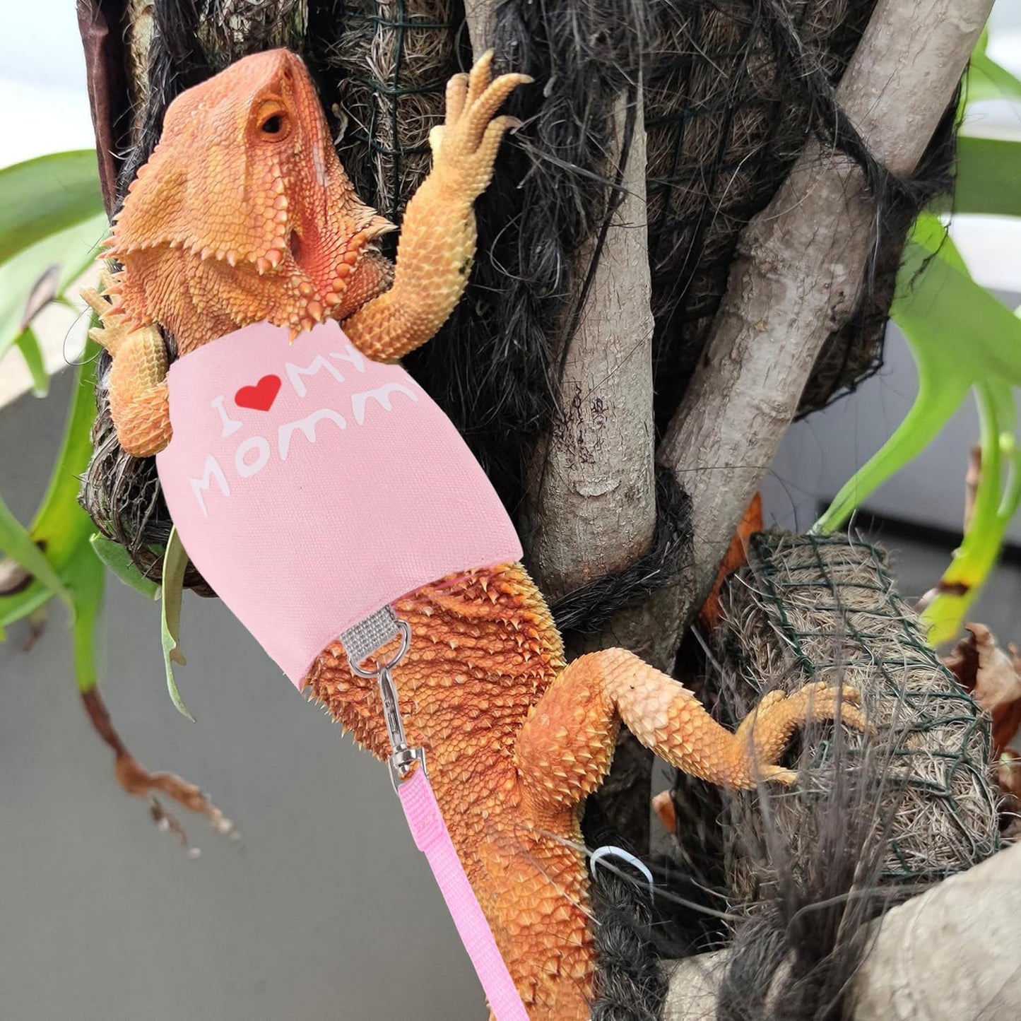 Small Animal Travel Backpack Carrier,Portable Bearded Dragon Bag for Sugar Glider,Hedgehog,Rat,Bunny,Rat,Outdoor Used (Pink, Carrier L+ I Leash)