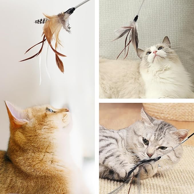 SONGWAY Cat Feather Wand Toy - Cat Teaser Toy Wand with 4 Flexible Spring Feather Refills, Interactive Cat Toys for Indoor Cats Kitten