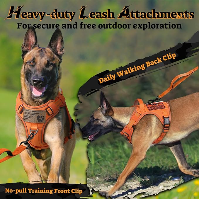 rabbitgoo Dog Harness for Large Dogs No Pull, Tactical Service Pet Vest with Molle and Control Handle, Adjustable and Reflective Military Harness for Easy Walking and Training, Orange, L