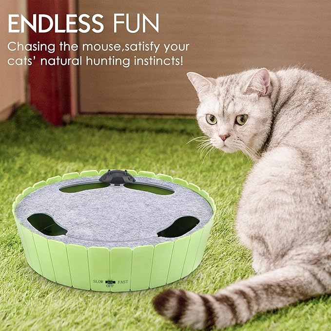 Pawaboo Interactive Toy with Running Mouse, Electronic Motion Cat Toy Automatic Teaser, Pop and Play Hide Seek Cat Toys Hunting Mouse, Mint Green
