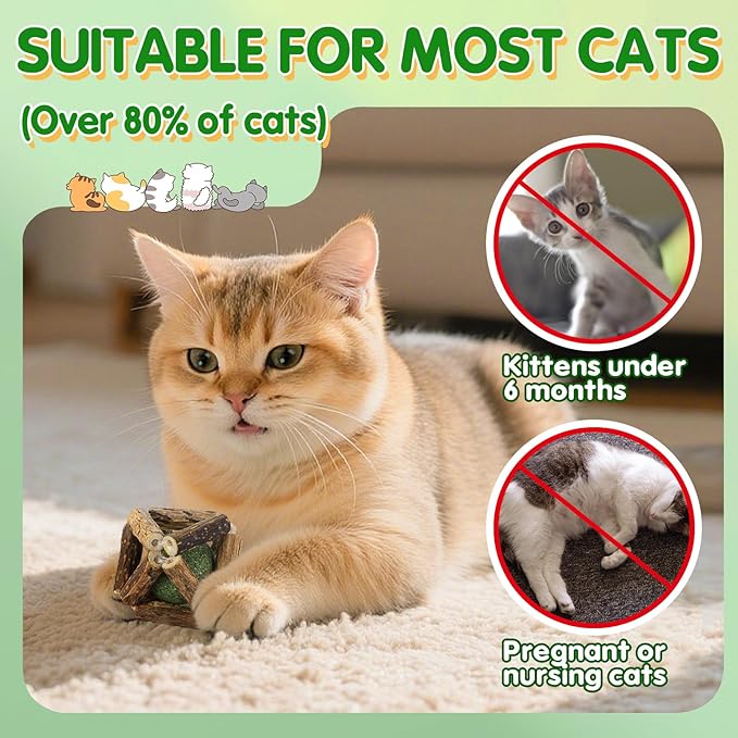 4 in 1 Relief Anxiety Catnip Cat Toys - 6 Styles Natural Silvervine Chew Toys for Teeth Cleaning, Reduce Obesity Risk, Cat Toy for Bored Indoor Adult Cats