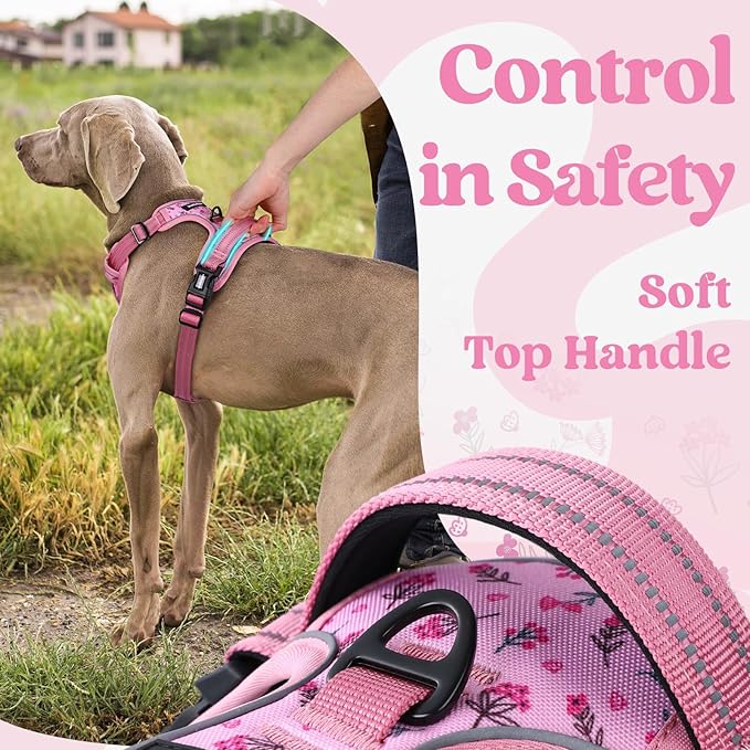 rabbitgoo Dog Harness Small Sized, No Pull Pet Harness with 3 Buckles, Adjustable Soft Padded Vest with Control Handle, Walking Reflective Pet Vest for Small Dogs, Floral Pink, S