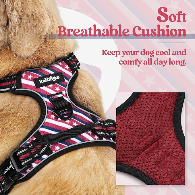 rabbitgoo Dog Harness No Pull with 2 Leash Clips, Adjustable Soft Padded, Reflective Oxford No Choke Pet Vest with Easy Control Handle for Large Dogs, Red Stripe, S