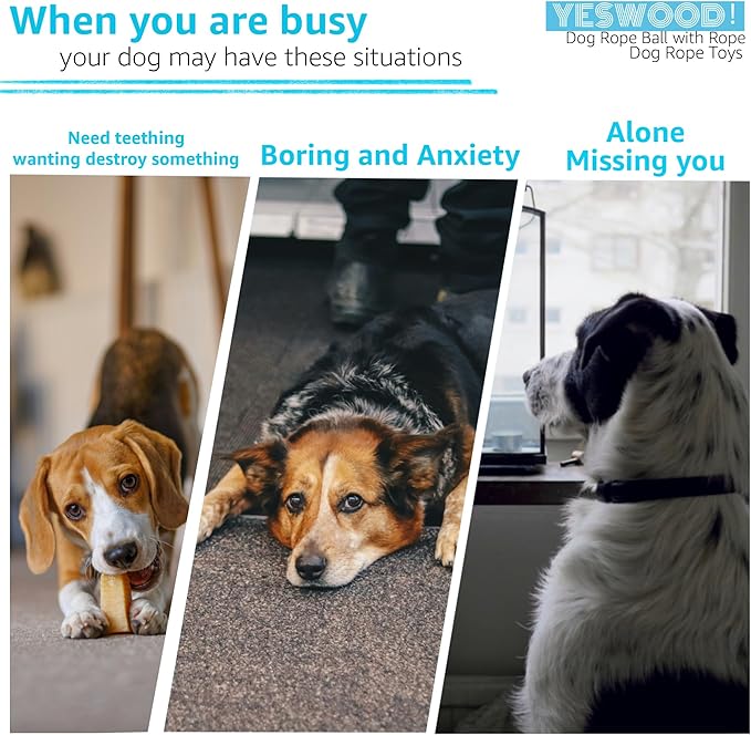 Tug of War Dog Toy Small Breed,Durable Dog Ball with Rope for Agreessive Chwers,4-Pack Rope with Ball Attached for Small and Medium Breed 0-80 Pounds,Puppy Interactive Toy