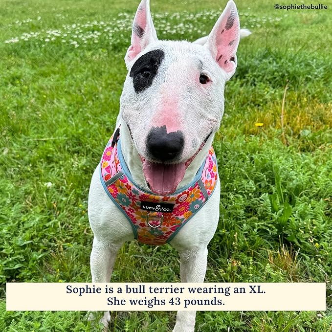 Lucy & Co. The Y2K Baby No-Pull Dog Harness - Size Small - Vest to Stop Pulling & Walk Easy - Comfortable Leash Training Product w/Adjustable Chest & Neck Straps
