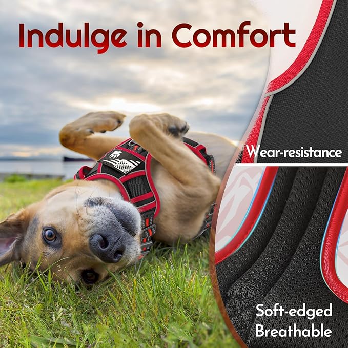 Eagloo Dog Harness for Large Dogs, Easy Wearing with 3 Buckles, Adjustable No Pull Pet Harness with 2 Rings for Walking, No Chock Reflective Soft Padded Vest with Control Handle, Black & Red, L