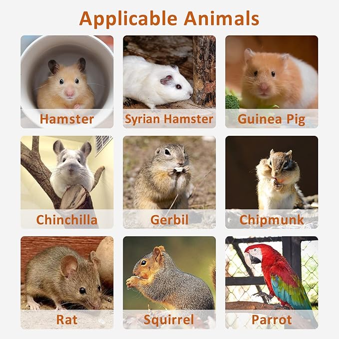 BNOSDM Wooden Hamster Platform with Legs Small Animal Standing Platform Exercise Toy Cage Accessories for Syrian Dwarf Hamsters Guinea Pigs Gerbils Degus Chinchillas Mice Bird