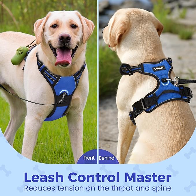 Funfox Dog Harness No Pull, Adjustable Pet Vest Harness Blue S with Handle, 2 Leash Clips for Daily Walking Easy Control, Soft Durable Reflective Comfortable for Small Sized Dogs