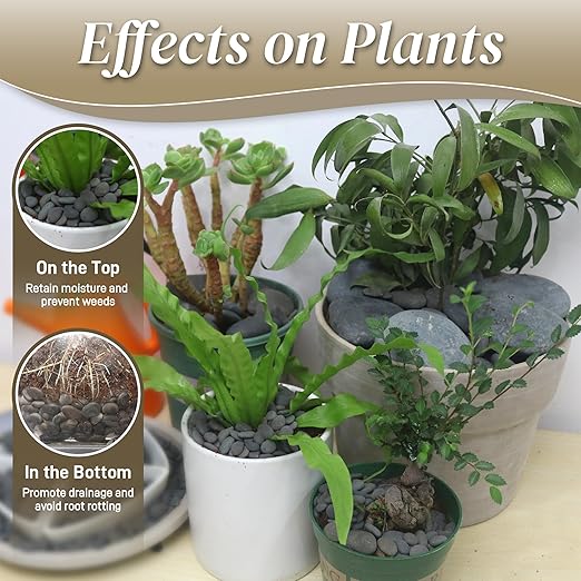 5 lbs Natural Mexican Beach Pebbles, 1-2 Inch Large River Rocks for Plants and Landscaping, Decorative Stone for Fish Tank Aquarium Fountain Garden Paving Walkways Pathways Backyard, Grey