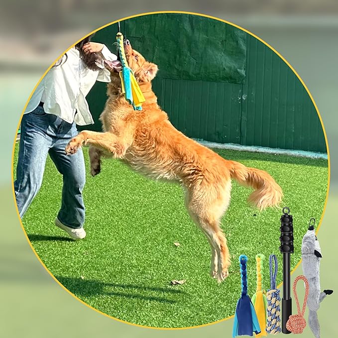 Flirt Pole for Dogs, Interactive Toys Tug-of-war for Dog, Five-Section Retractable Adjustable Length,for Outdoor Exercise & Training for Small Medium Large Dog