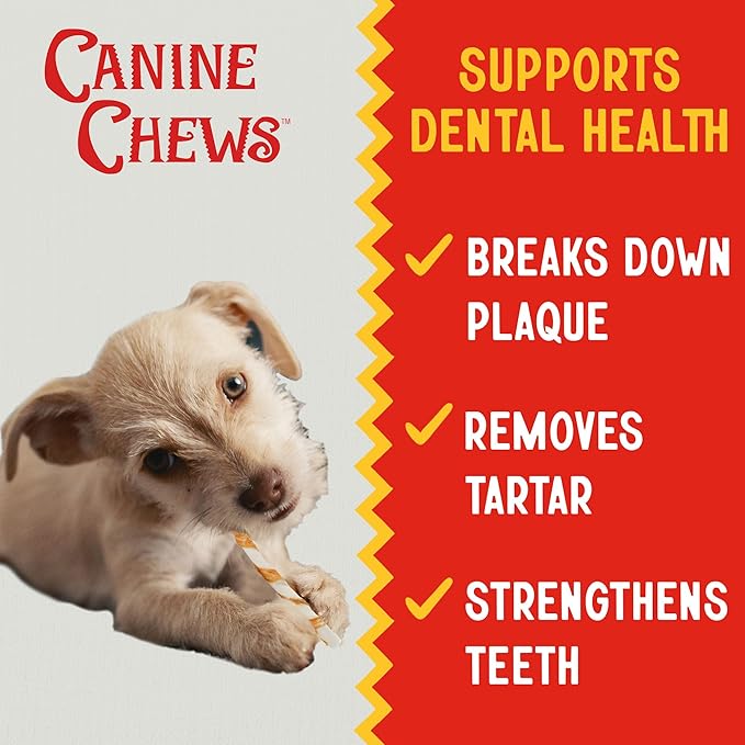 Canine Chews Chicken-Wrapped Rawhide Twists for Dogs - Pack of 45 U.S.A. Sourced Chicken Wrapped Rawhide Dog Treats, Sticks for Dogs - Premium & Natural Beefhide Chews