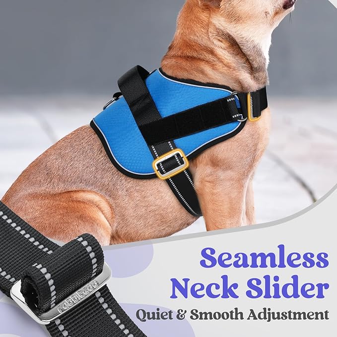 rabbitgoo Dog Harness for Small, Easy On Pet Vest with One Buckle, No Pull Adjustable Service Harness with D-Ring & Handle, Reflective for Safety Walking, Training, Blue, S