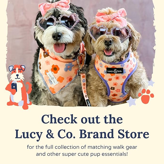 Lucy & Co. The Rosewater No-Pull Dog Harness - Size Medium - Vest to Stop Pulling & Walk Easy - Comfortable Leash Training Product w/Adjustable Chest & Neck Straps