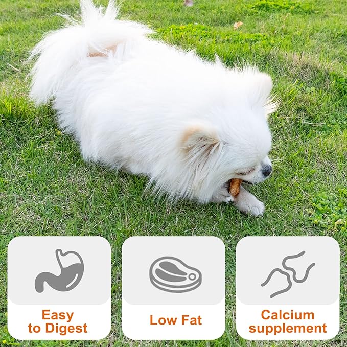 MON2SUN Dog Treats, Chicken Wrapped Calcium Bones Without Rawhide, 2.3 Inch Training Treats for Teeth Cleaning and Fresh Breath, Chews for Puppy and Small Dogs (56 Count - Pack of 1)