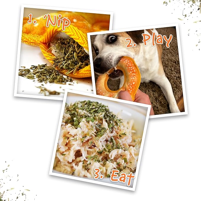 Doggijuana Tuffer Chewer Mini Plush Dog Toy | Funny Dog Toy Plush with Juananip Catnip for Dogs | Calming Aid for Dogs | Interactive Squeaky Chew Toy for Play (Pretzel Ring)