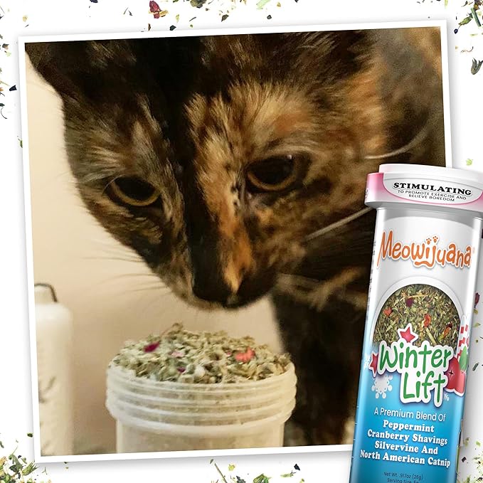 Meowijuana | Furry and Bright Bundle | Get Blitzed Reindeer and Winter Lift | Promotes Play and Cat Health | Includes Organic Catnip | Feline and Cat Lover Approved