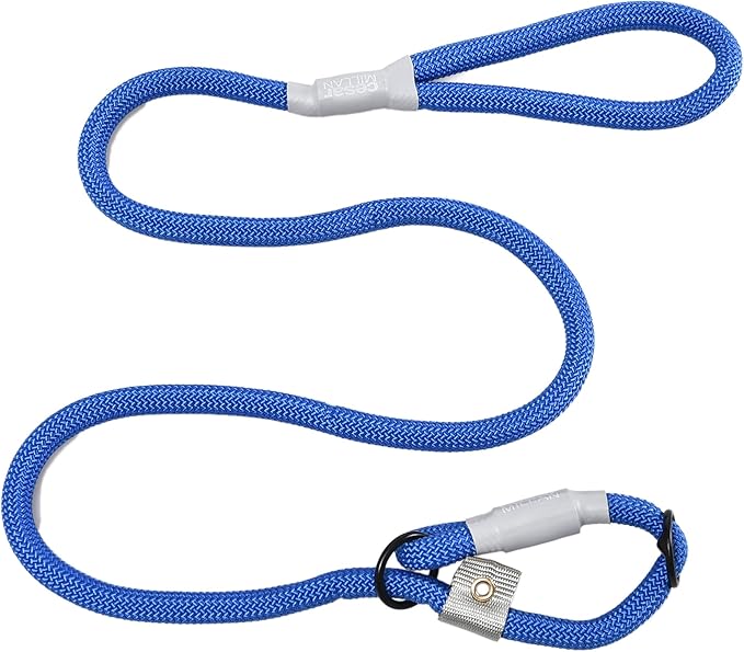 Cesar Millan Slip Lead Leash™ - 2-in-1 Slip Collar Dog Training Lead & Collar | Heavy Duty Durable Weatherproof Rope Leash, No Pull Training | Length 4ft Diameter 4/10”(Regular, Blue)