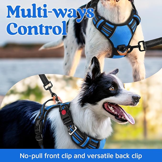 rabbitgoo Dog Harness Medium Sized, No Pull Dog Vest with 3 Buckles, Adjustable Soft Padded Pet Harness with Easy Control Handle and Reflective Strips, Blue, M