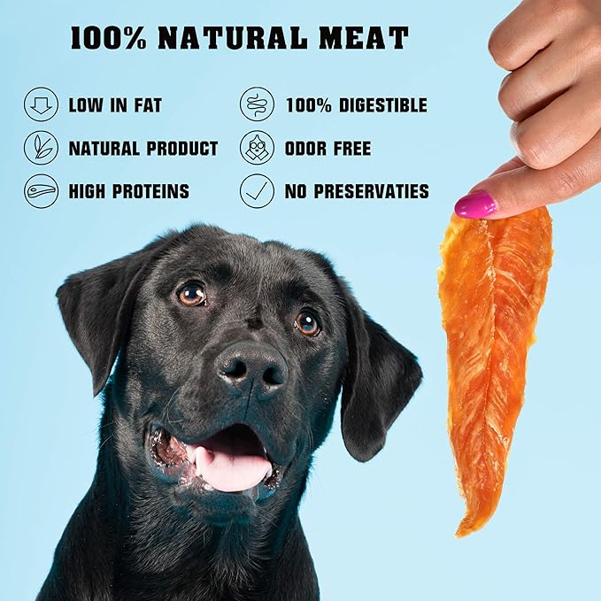 Dog Treats Chicken Jerky 1.5 Lb - Human Grade Pet Snacks & High Protein Meat - All Natural High Protein Dried Strips - Best Chews for Training Small & Large Dogs - Bulk Soft Pack Made for USA