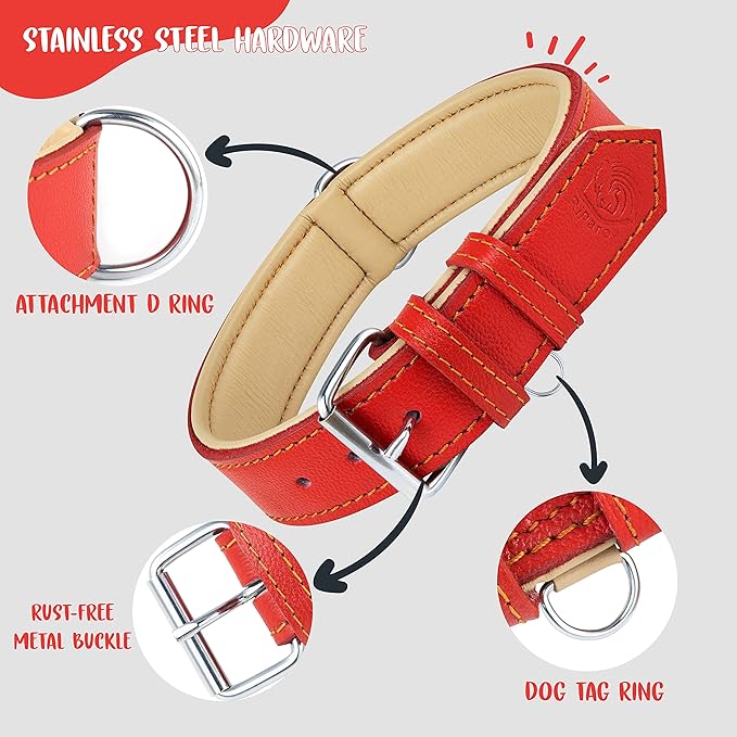 Riparo Red Leather Dog Collar - Heavy Duty Wide Dog Collar for Small, Medium, Large and Extra Large Dogs with Dog Tag Holder (XXL: 2” Wide for 26”-29” Neck, Red)
