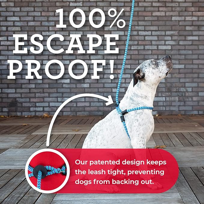 Harness Lead No Pull Dog Harness and Leash Set, Anti Pull Dog Harness, One-Piece Cushioned Rope Safely Prevents Escaping and Pulling *New Insert is Removable (Small/Medium, Red/Reflective)