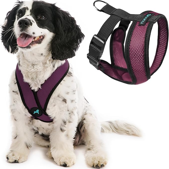 Gooby Comfort X Head in Harness - Purple, Small - No Pull Dog Harness with Patented Choke-Free X Frame for Small to Medium Dogs Indoor/Outdoor Use