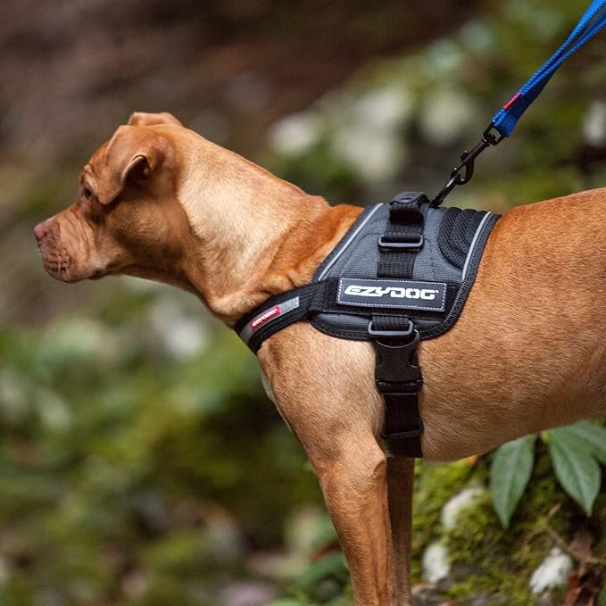 EzyDog Convert Dog Harness – Trail-Ready Rugged Harness for Walking, Hiking & Outdoors with Reflective Piping, Badge Attachment Points, Traffic handle, & Comfort Lining (Medium, Charcoal)