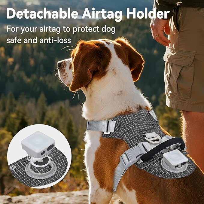 Joytale Lightweight Light Up Dog Harness, Rechargeable No-Pull LED Dog Harness with Detachable Light Box, Airtag Holder, Adjustable for Night Walking, Running & Everyday Use, Black, M