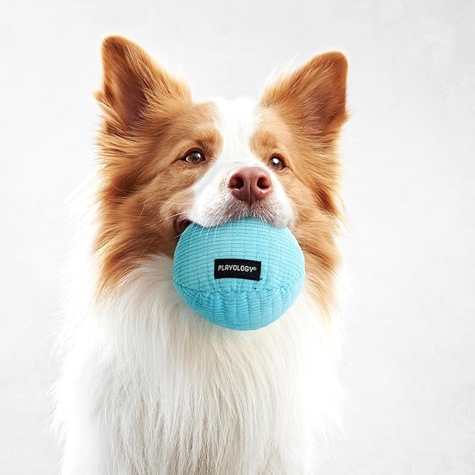 Playology Dog Toys | Squeaky Plush Toy Ball for Dogs | Jumbo Peanut Butter Scented Toy - Easy to Clean and Made from Non Toxic Materials