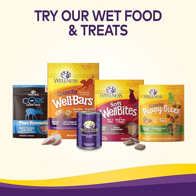 Wellness Complete Health Dry Dog Food, Small Breed, Grain Free, Natural, Turkey, Chicken, & Salmon Recipe (11-Pound Bag)