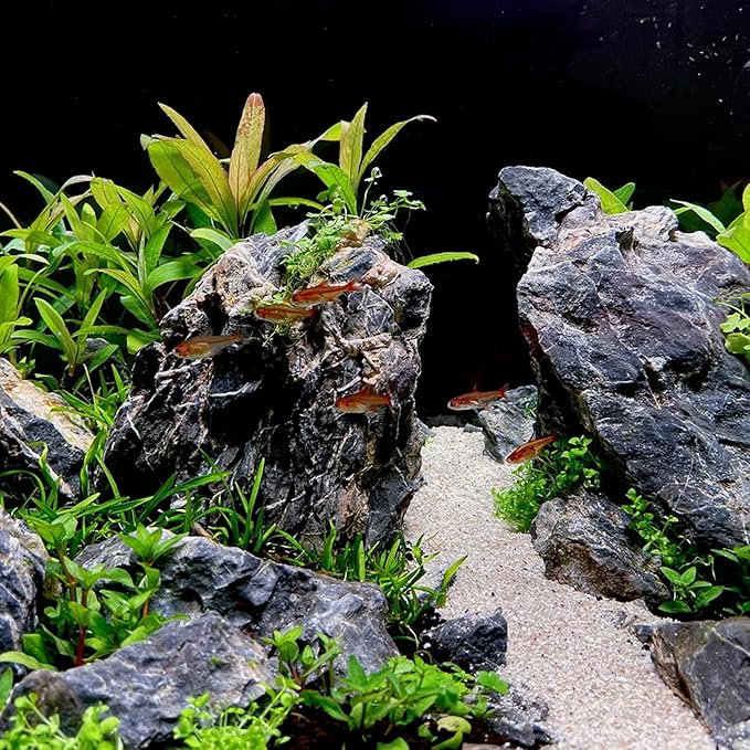 6-8 Inches Natural Seiryu Stone 4 PCS Aquarium Rocks for Aquascaping, Aquarium Landscaping, Terrariums, Fish Tank Decoration, Vivariums, Paludarium, Reptile and Amphibian Enclosures